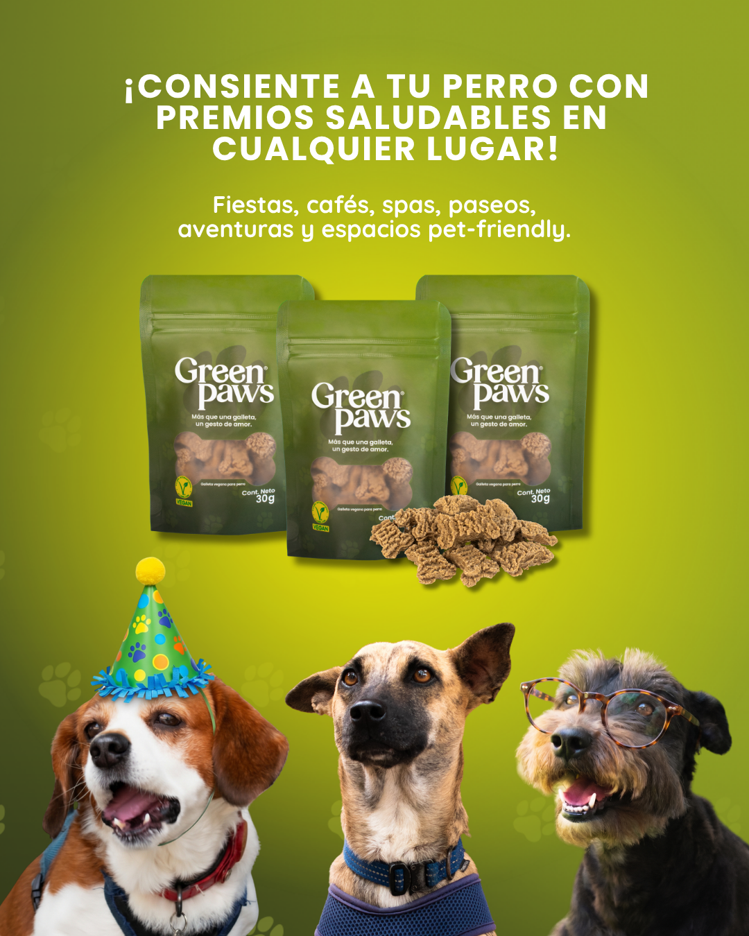 GreenPaws Mini: Pack de 10