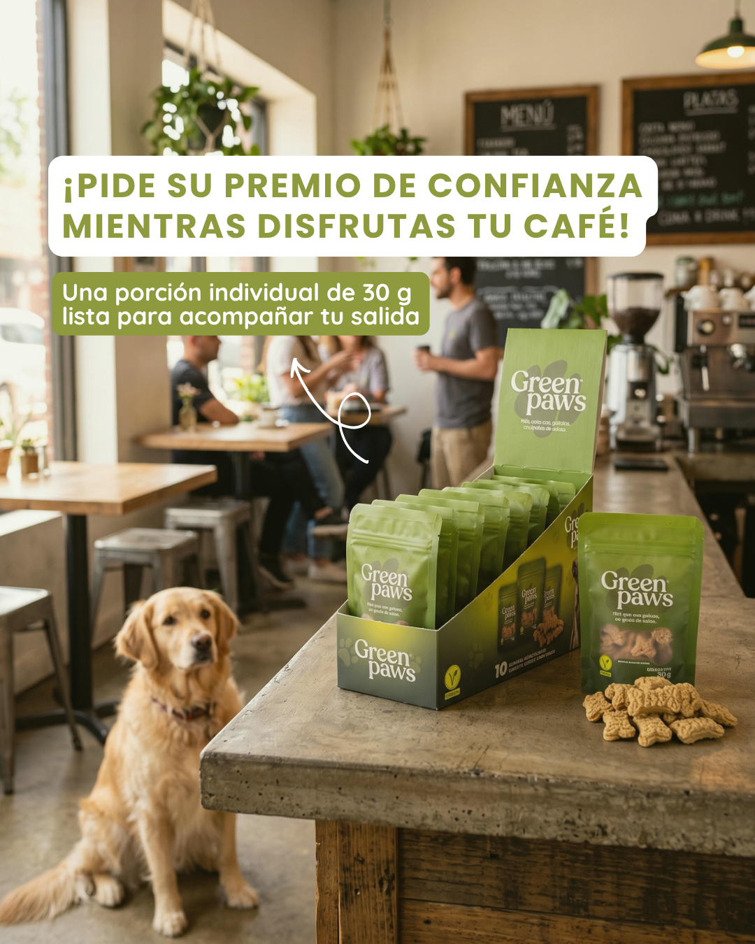 GreenPaws Mini: Pack de 10
