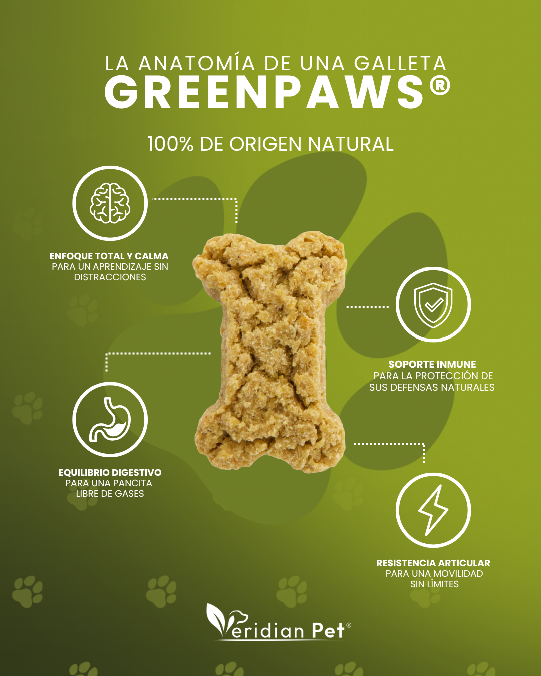 GreenPaws Can: 1 Bote