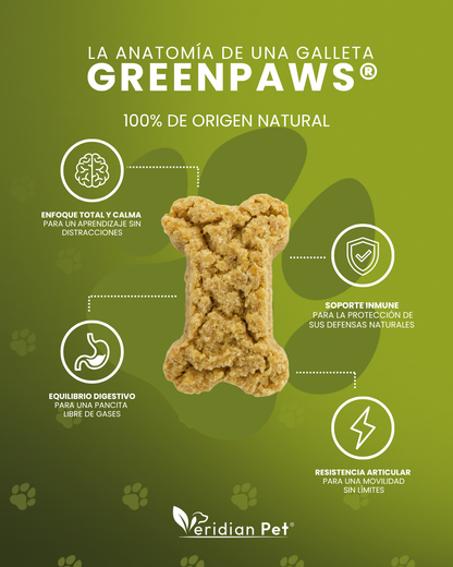 GreenPaws Can: 1 Bote