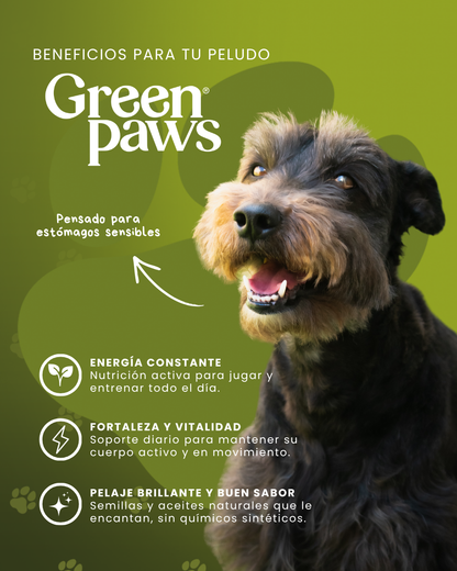GreenPaws: 6 Botes