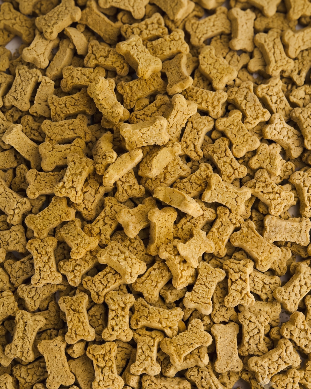 GreenPaws Mini: Pack de 10